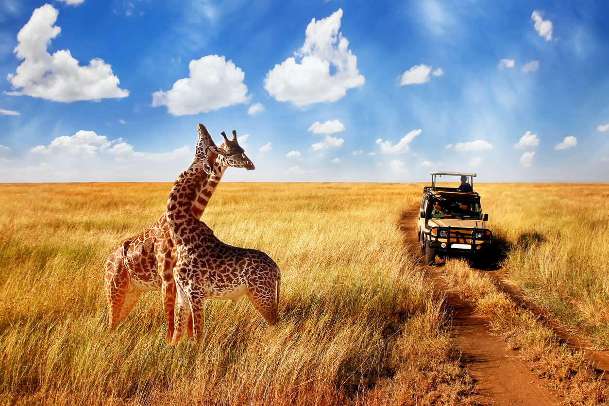Friendly and Customed Excursions