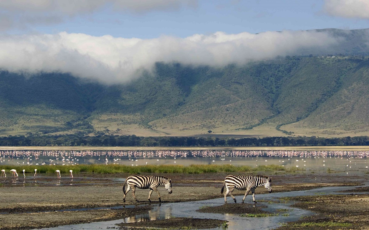 ngorongoro crater