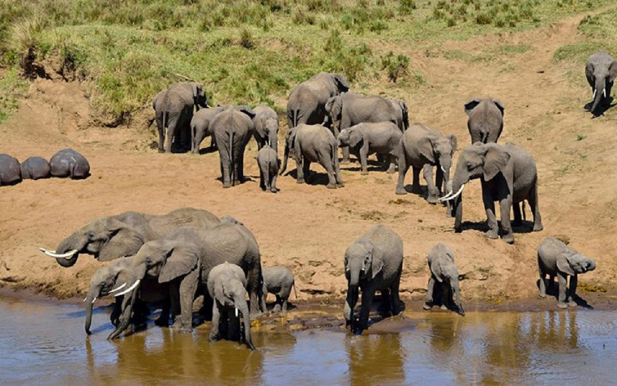 tarangire-np